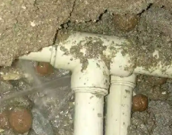 红岗测漏水多少钱