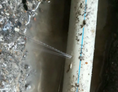 红岗测漏水哪家好