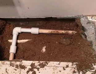 红岗测漏水哪家好