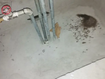 红岗卫生间测漏水价格明细