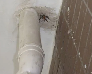 红岗漏水检测哪家好